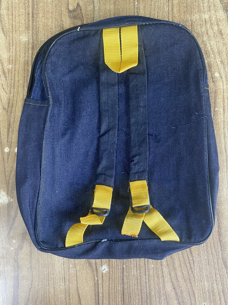 Motu Patlu School Bag